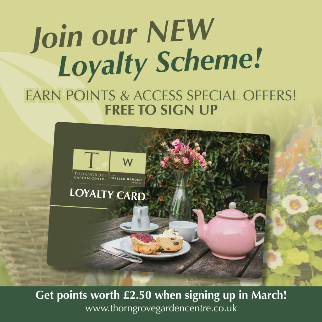 Loyalty Scheme at Thorngrove in Gillingham